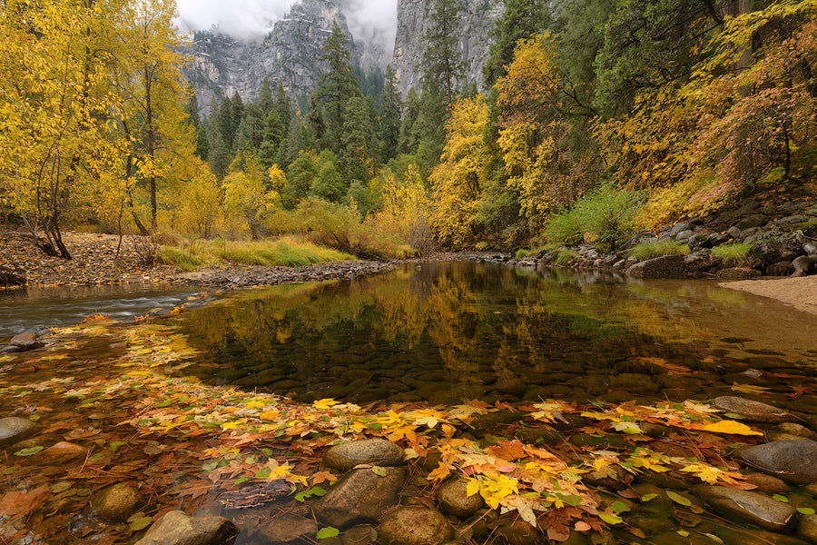 It's Fall Y'all! Time To Plan Your Fall Color Trips And Gear! – Hoya ...