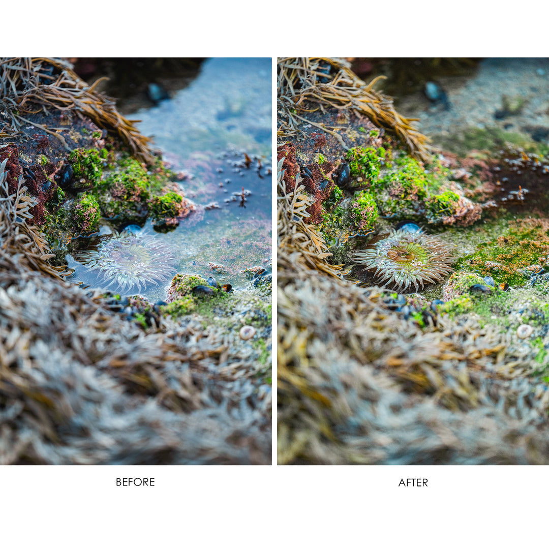Hoya Filters SQ100 86mm Polarizer